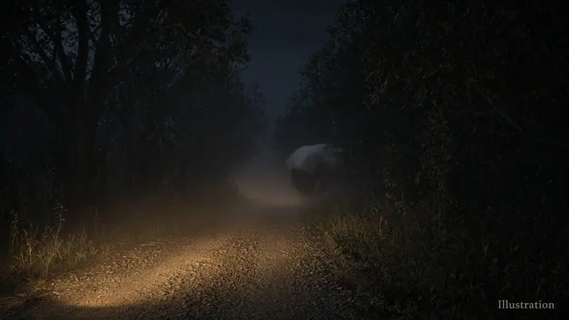 Illustration: a gravel backroad through dark Midwestern woods before dawn, a pool of light on the gravel and haze in the air, a blurred large grey shape moving into the trees