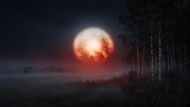 Illustration: a huge soft disc of white, orange and red light hanging low over a misty field at the edge of a birch forest at night